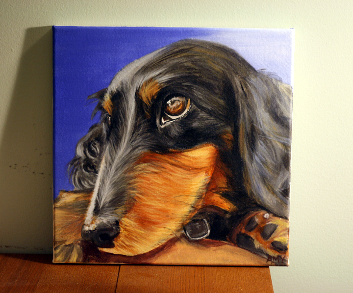 Mini Dachsund Pet Portrait ~ ElephantEats.com