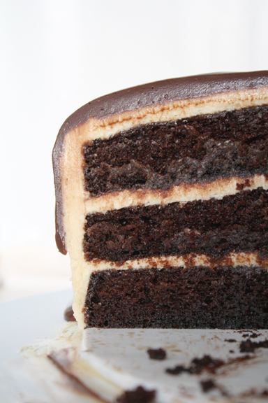 Chocolate Peanut Butter Cake