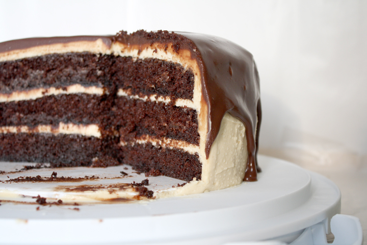 Chocolate Peanut Butter Cake