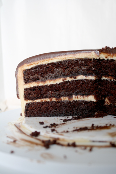 Chocolate Peanut Butter Cake