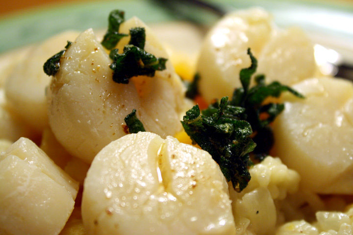 Scallops with Pumpkin Risotto