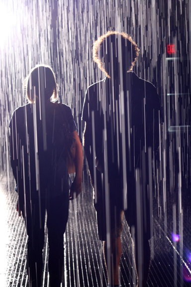 Moma Rain Room ~ ElephantEats.com