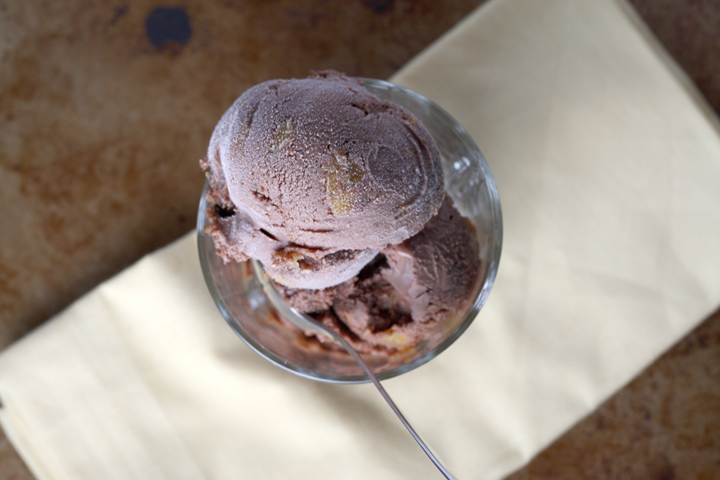 Chocolate Apricot Torte Ice Cream ~ ElephantEats.com