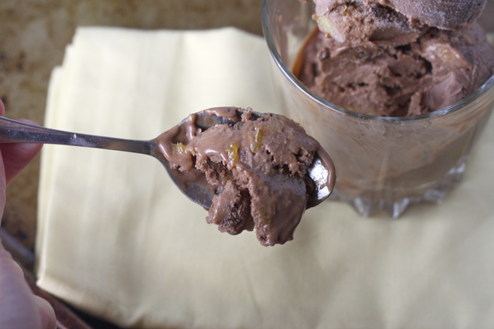 Chocolate Apricot Torte Ice Cream ~ ElephantEats.com