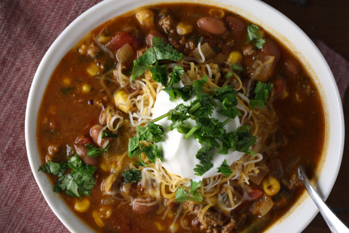 Turkey, Pumpkin and Veggie Chili ~ ElephantEats.com