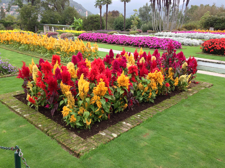 Alpinia botanical garden  ~ ElephantEats.com