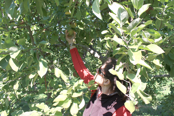 Fishkill Farms Apple Picking ~ ElephantEats.com