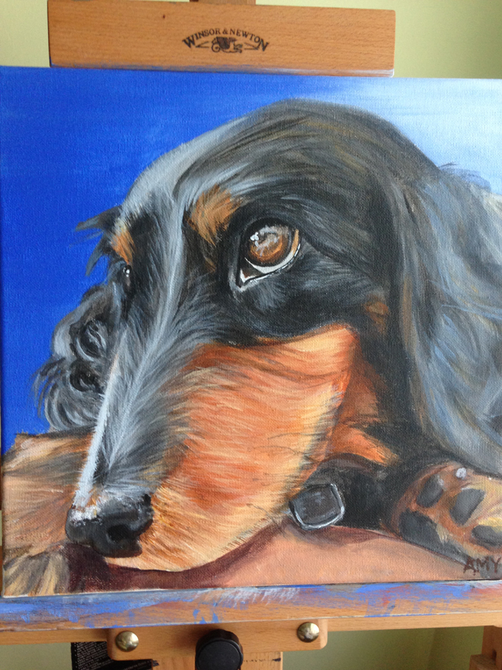 Mini Dachsund Pet Portrait ~ ElephantEats.com