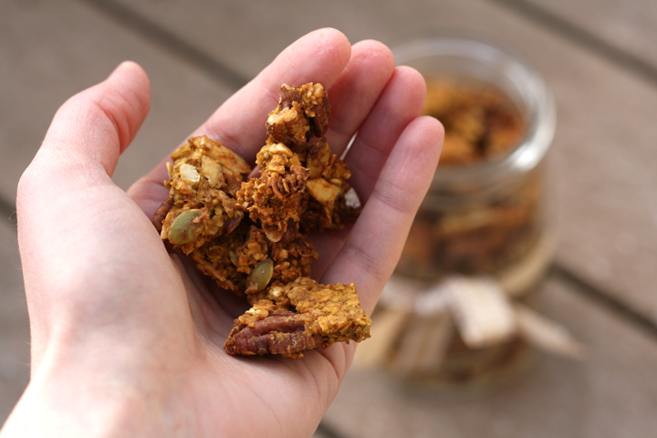 Chunky Pumpkin Spice Granola ~ ElephantEats.com