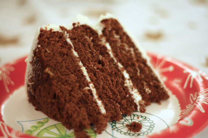 Gingerbread Layer Cake with Cream Cheese Frosting ~ ElephantEats.com